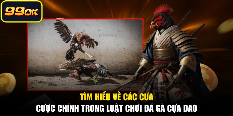 Tìm hiểu về các cửa cược chính trong luật chơi đá gà cựa dao