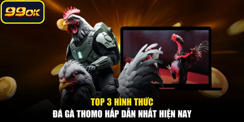 Top 3 hình thức đá gà Thomo hấp dẫn nhất hiện nay