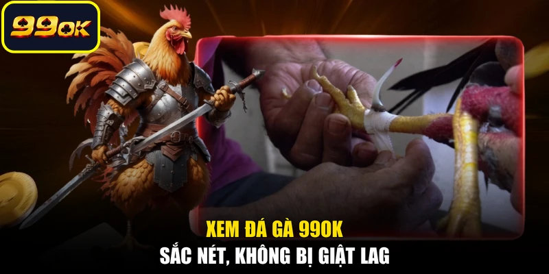 Xem đá gà 99OK sắc nét, không bị giật lag
